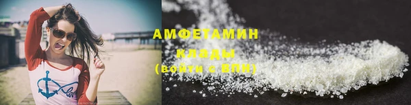 индика Алзамай
