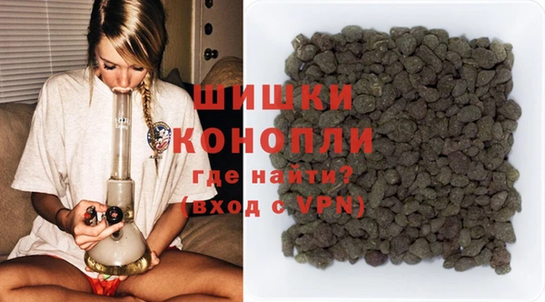 ПСИЛОЦИБИНОВЫЕ ГРИБЫ Алексин