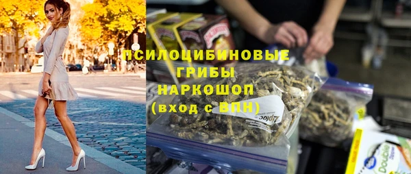 ПСИЛОЦИБИНОВЫЕ ГРИБЫ Алексин
