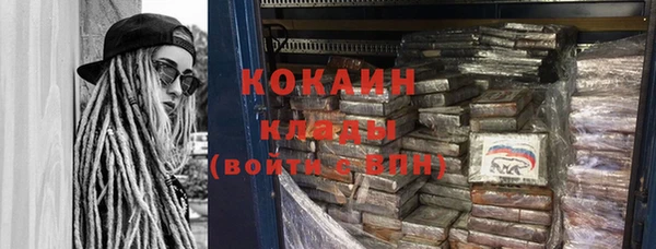 индика Алзамай