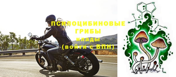 ПСИЛОЦИБИНОВЫЕ ГРИБЫ Алексин