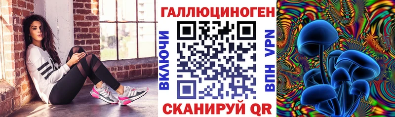 OMG ССЫЛКА Зеленоградск Галлюциногенные грибы Cubensis
